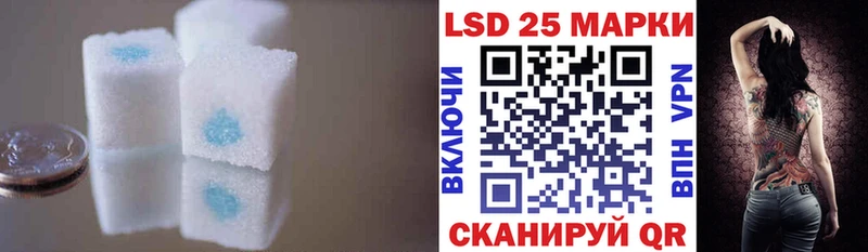 kraken онион  Новозыбков  LSD-25 экстази кислота 