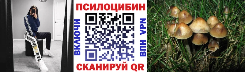 Псилоцибиновые грибы ЛСД Новозыбков