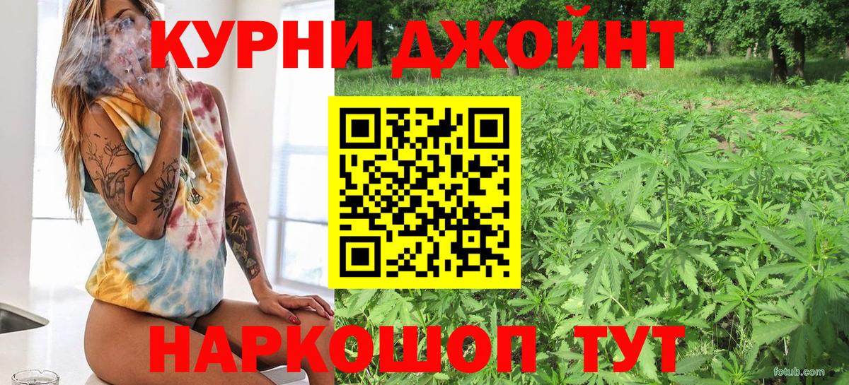 Конопля гибрид  Шишки марихуана VHQ  Марихуана SATIVA & INDICA  Новозыбков  Вход с VPN  Канабис тримм 
